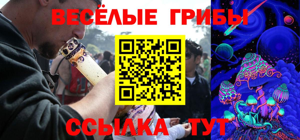 Галлюциногенные грибы мицелий  Вход с VPN  Галлюциногенные грибы Cubensis  Чайковский 